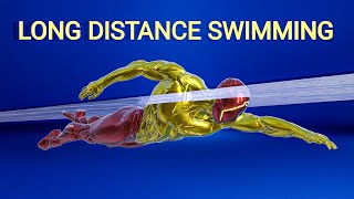 How fast can you swim for a long distance [upl. by Rose]