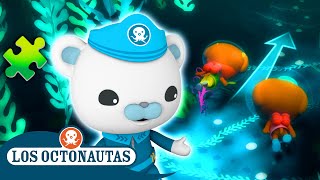 Los Octonautas  🧩 Acertijos y misterios marinos 🔍  El regreso a clases 🎒  Episodios Completos [upl. by Amisoc]