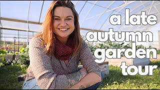 A November Garden Tour Low Expectations in a Warm Fall Garden [upl. by Wrennie]