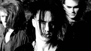 Skinny Puppy Assimilate [upl. by Marylynne]