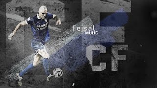 Fejsal Mulic ● CentreForward ● Suwon Samsung Bluewings  Highlight video [upl. by Grover797]