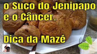 O SUCO do JENIPAPO e o CÂNCER  Dica de givaemaze [upl. by Earehs]