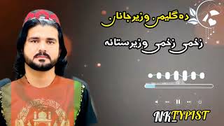 Da gilaman wazir janana  zakhmi zakhmi wazirestana  new Pashto best song 2024 [upl. by Nared]