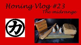 Straight Razor Honing Vlog 23 [upl. by Anilys367]