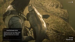 giant channel catfish Red Dead Redemption 2 [upl. by Ramor]