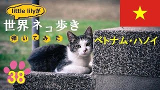 【ネコ歩き弾いてみた㊳】ハノイの月  髙野正樹【Music w cat】 [upl. by Lirva]