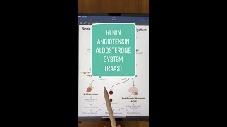 ReninAngiotensinAldosterone System Explained [upl. by Licha760]