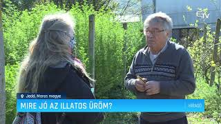 Mire jó az illatos üröm – Erdélyi Magyar Televízió [upl. by Koa]