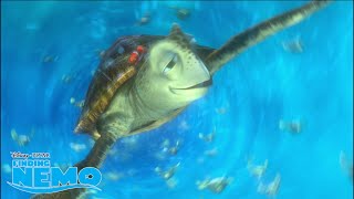 Turtle Cruising 🐢  Finding Nemo  Disney Channel UK [upl. by Atirahs]