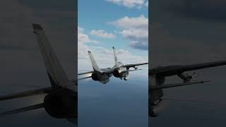 DCS F14B Tomcat  They never knew dcsdcsworld dcsworldgameplay f14tomcat f14 shorts [upl. by Nyliac802]