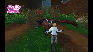 Learn How to Glitch Into Mistfall Lake  Star Stable Online [upl. by Harrietta]