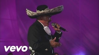 Vicente Fernández  El Rey En Vivo [upl. by Anayra770]