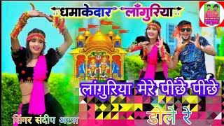 nyu languriya 💥  लांगुरिया मेरे पीछे पीछे डोले रे  सुपर हिट पहली बार  singer sandeep atal [upl. by Slein744]