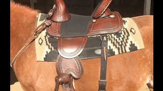 Hilason Treeless Saddle Review [upl. by Neb612]