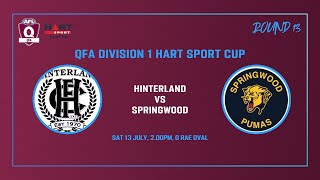 Hinterland vs Springwood Mens Div 1 AFL Rd 13 13th July [upl. by Thaine68]