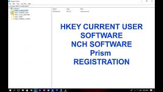 How to Use Prism Video File Converter Without a Registration Code NCH Software [upl. by Teevens]