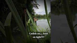 Catfish on at Linear epic Battle fish fishing fishingvideo catfish freshwaterfish angling [upl. by Mavis329]