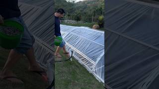 KOLAM IKAN UNIK shorts viralvideos reaction fyp [upl. by Halika574]