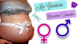 VLOG 🍼 Ma grossesse deuxième trimestre 🍼 Fille ou garçon [upl. by Dunseath]