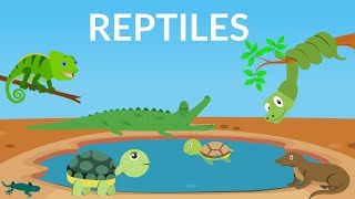 Learn about Reptiles  Reptiles Video for Kids [upl. by Analli]