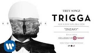 Trey Songz  Sneaky TARGET Bonus Track Official Audio [upl. by Ortrude329]