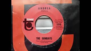 The Sunrays  Andrea 1965 Tower 191 aside Vinyl rip [upl. by Torbert]