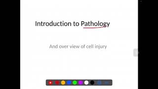 🔥Pathology Course  Lecture 1 Introduction To Pathology [upl. by Hpseoj]