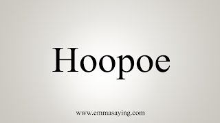 How To Say Hoopoe [upl. by Ullyot]