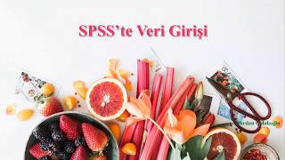 SPSS veri girişi Nurdan Çolakoğlu [upl. by Adnuhsat741]