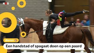 Dit is voltige turnen op de rug van een paard [upl. by Tallulah]