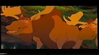 Brother Bear Tuke Says Hows It Going Bear VHS Capture 2003 [upl. by Ynetsed]