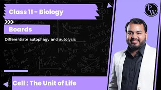 Differentiate autophagy and autolysis [upl. by Ennyrb971]