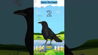 2 Crow  Learning Games For Kids Fun BrainSchool Games OnlneBest Kids Game For Learning Youtube [upl. by Imot]