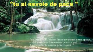 OVIDIU LITEANU tu ai nevoie de pace Romanian Christian Music [upl. by Refinney]