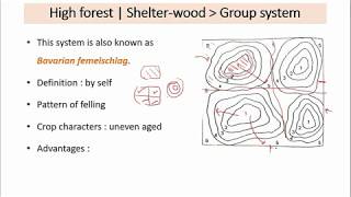 23 RPSCACF 2020  Silviculture system 2 [upl. by Bartram]