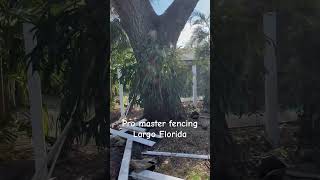 fencingcontractor floridafencing diy shortvideo shorts [upl. by Richara484]