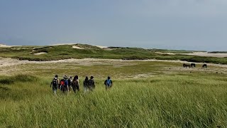 The Mikmaki Sable Island Pledge  Indigenousled Conservation [upl. by Enniotna311]