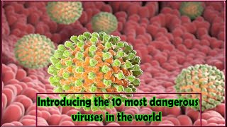 Introducing the 10 most dangerous viruses in the worldinformation ai [upl. by Salta606]