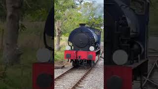 The Austerity of the island filmed by my grandad thomaswoodenrailway passengertrain trending [upl. by Euqinemod425]