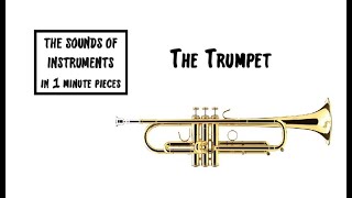 The Trumpet The Sounds of Instruments in 1 min pieces [upl. by Engud294]