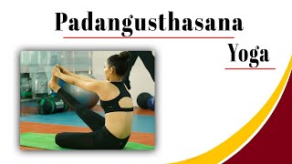 StayFitz Presents Padangusthasana – Big Toe Pose for Enhanced Flexibility and Strength [upl. by Eirrak699]