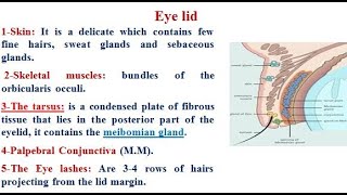 5 eye lid conjunctiva lacrimal apparatus and clinical case [upl. by Anilak250]