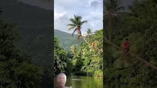 3 men rowed up to cut the dangerous tree wood that fell into the river [upl. by Bogey193]