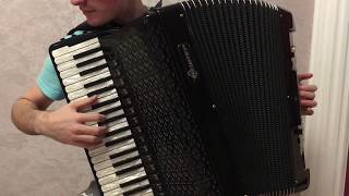 Shadow of the Colossus  Counterattack  Accordion Cover [upl. by Annil621]