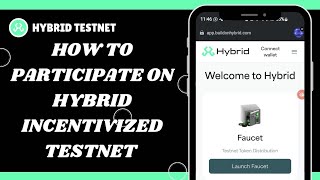 Hybrid Incentivized Testnet Guide [upl. by Nwahsav]