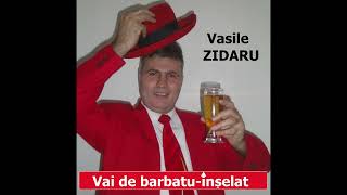 Vasile ZidaruVai de barbatunselatPARODIE [upl. by Nilyaj418]