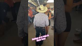 PulgA de Alamo Texas youtubeshorts 956valley dance [upl. by Kciredec]