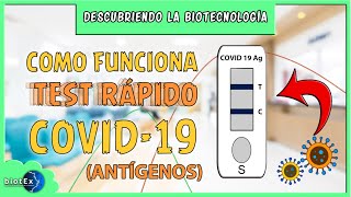 TEST RÁPIDO ANTÍGENOS COVID19 Cómo funciona  Descubriendo la Biotecnología [upl. by Chloras]