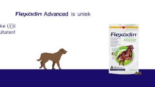 Flexadin Advanced [upl. by Churchill87]