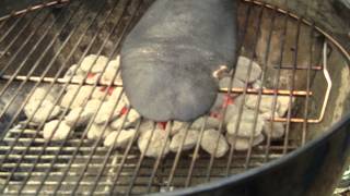 How to Grill Beaver Tail by BBQ Dragon [upl. by Haldane888]